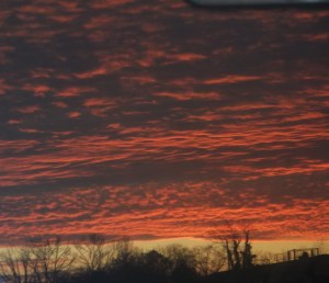 Evening Skyline in Georgia