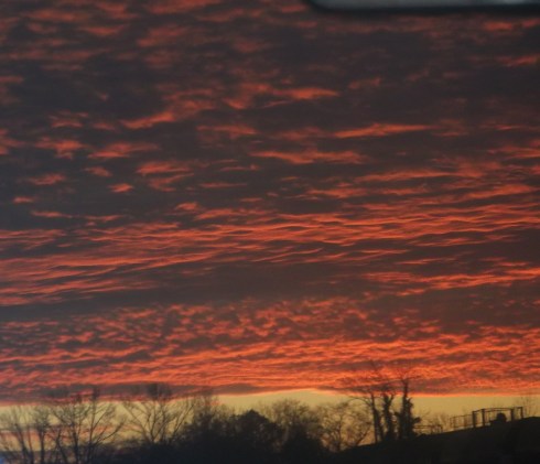 Evening Skyline in Georgia