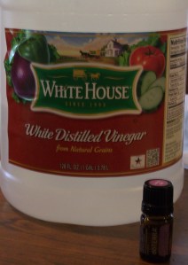 Homemade with Vinegar 002