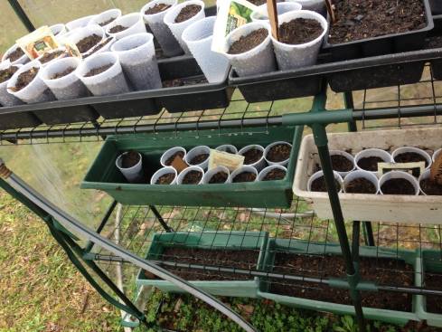 Seeds for 2016 garden