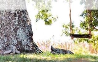 #inspiringonedreameratatime