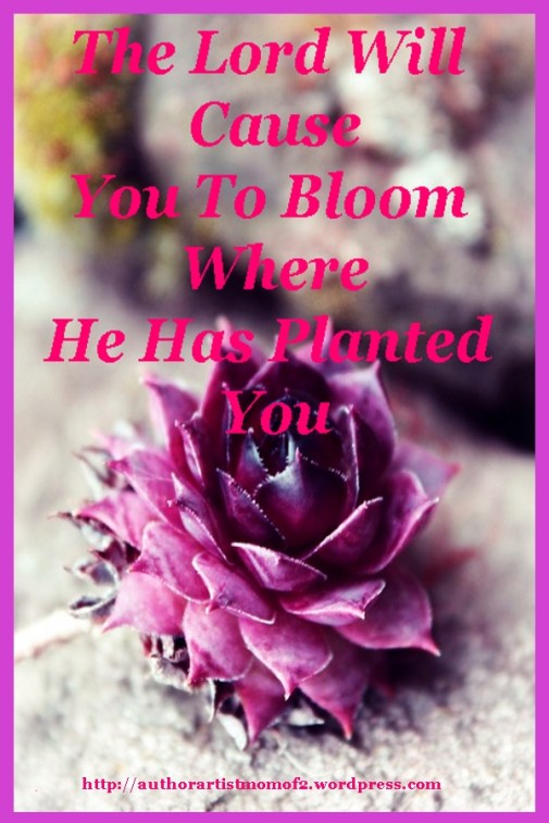 Bloom where you are planted