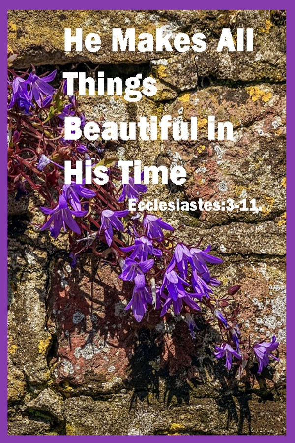 Be Stedfast and Unmoveable, God Makes All Things Beautiful in His Time