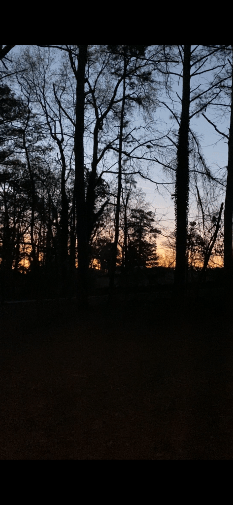 The Master's Artists